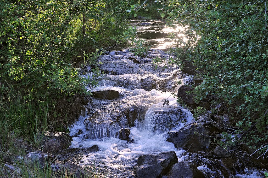 Storforsen, Great white water, Pitälven. by Jerry  MagnuM Porsbjer