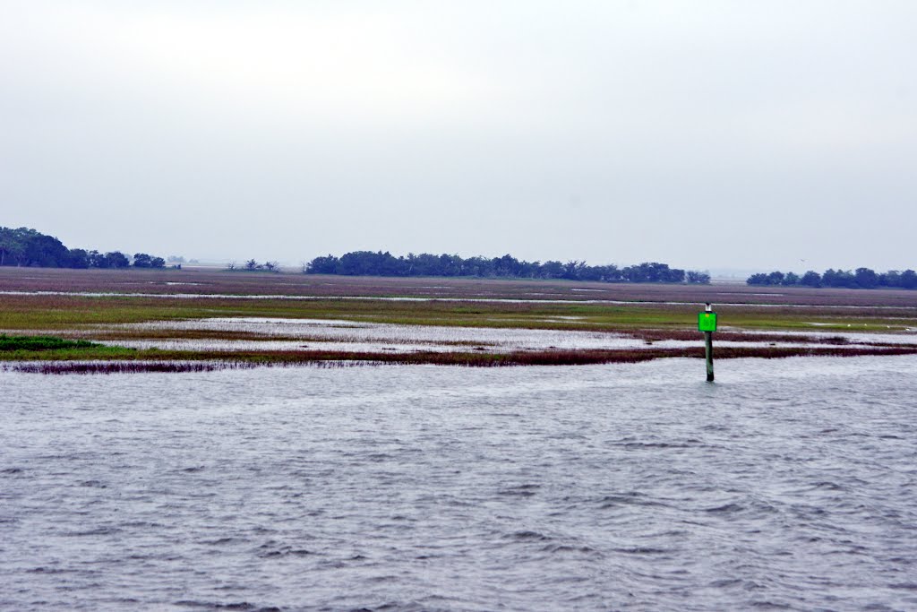 2012, Edisto Island, SC - on the river by Qwilleran