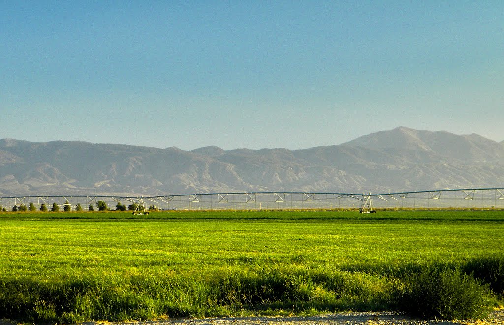 Agriculture field in the Mojave Desert by Jimjam