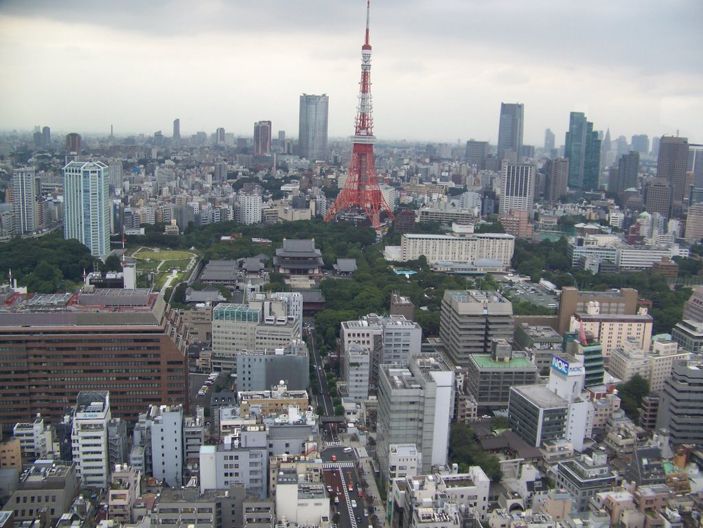 Tokyo from the World Trade Center 5 by konalunas