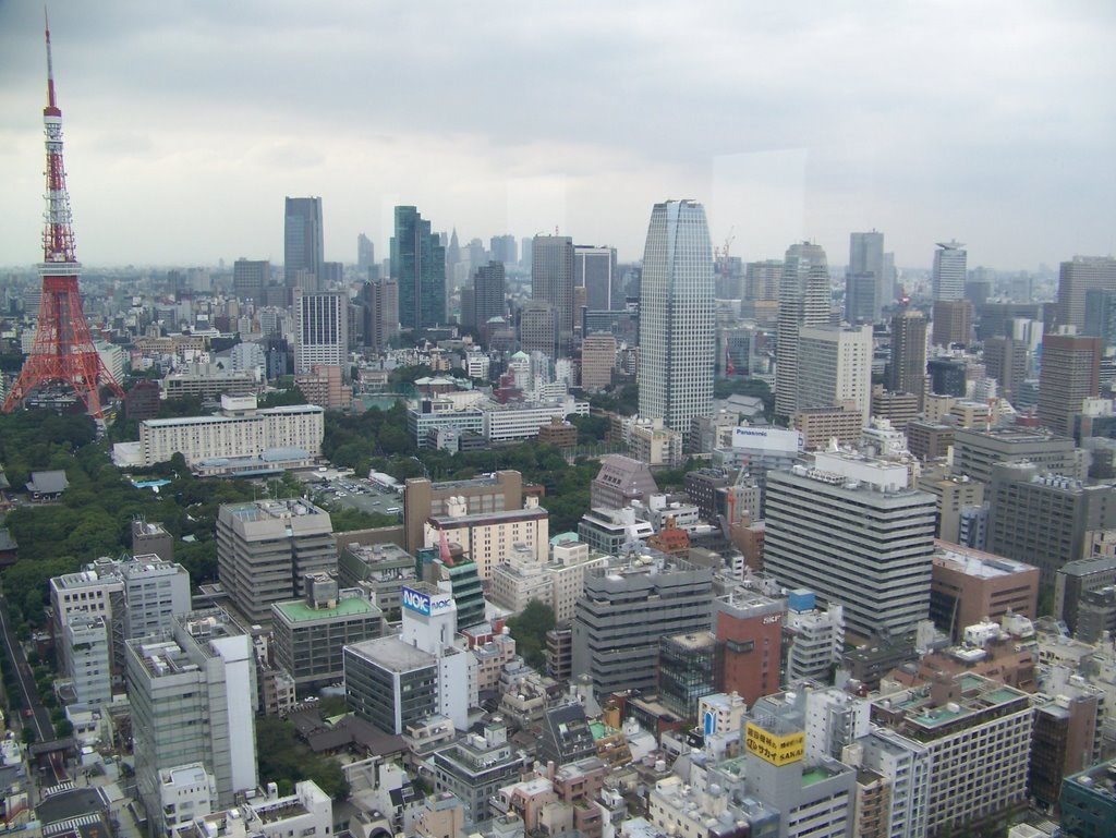 Tokyo from the World Trade Center 4 by konalunas