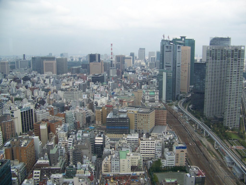 Tokyo from the World Trade Center 2 by konalunas