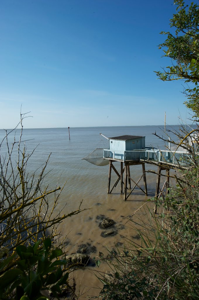 Talmont-sur-Gironde , un carrelet by markjone