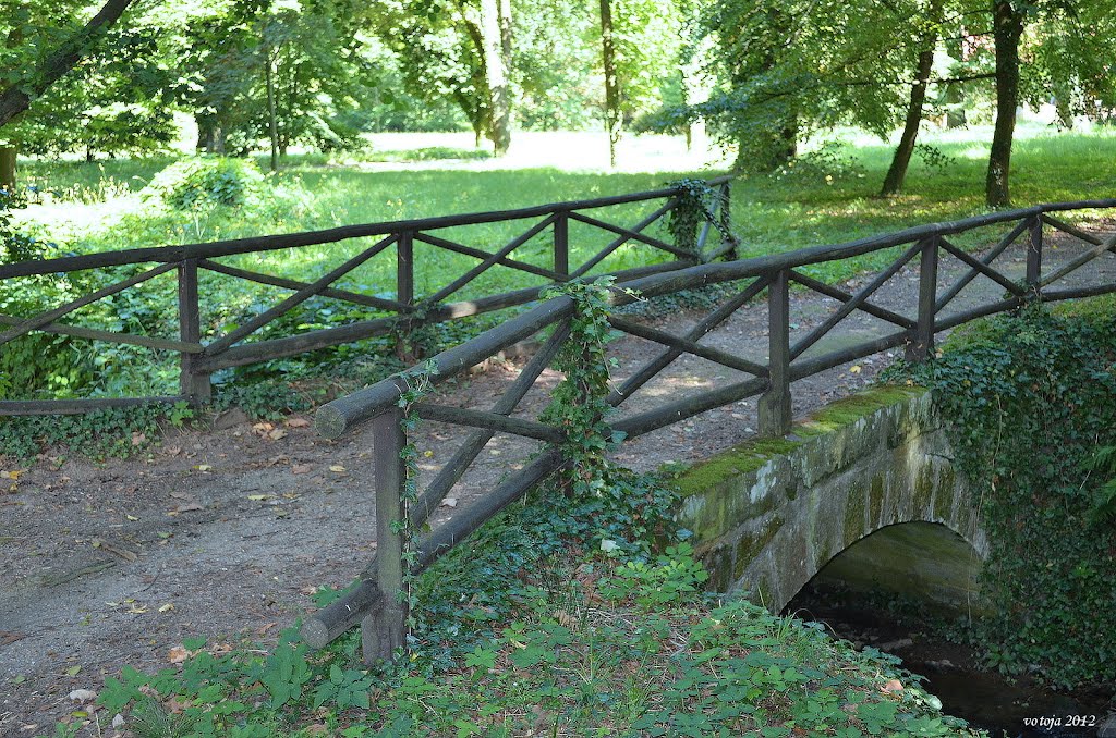 HEŘMANŮV MĚSTEC - zámecký park / park of the castle by votoja - CZ