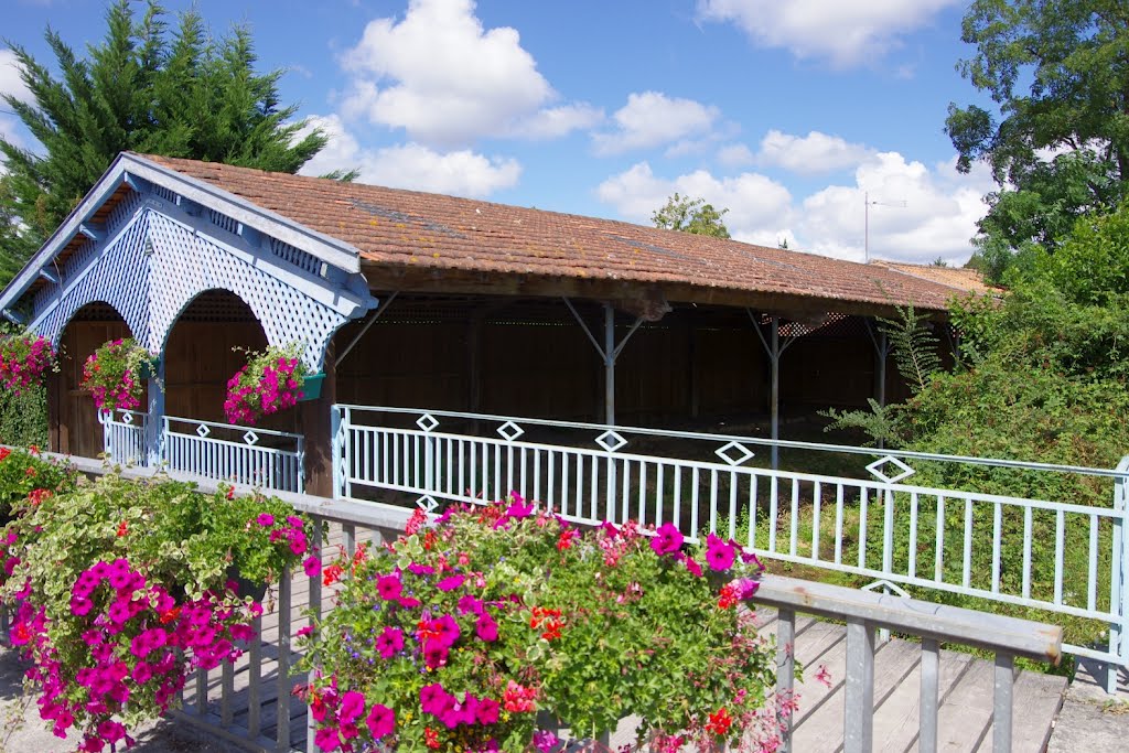 Le lavoir de Castelnau de Médoc by Jean-Paul Dominique BERTIN