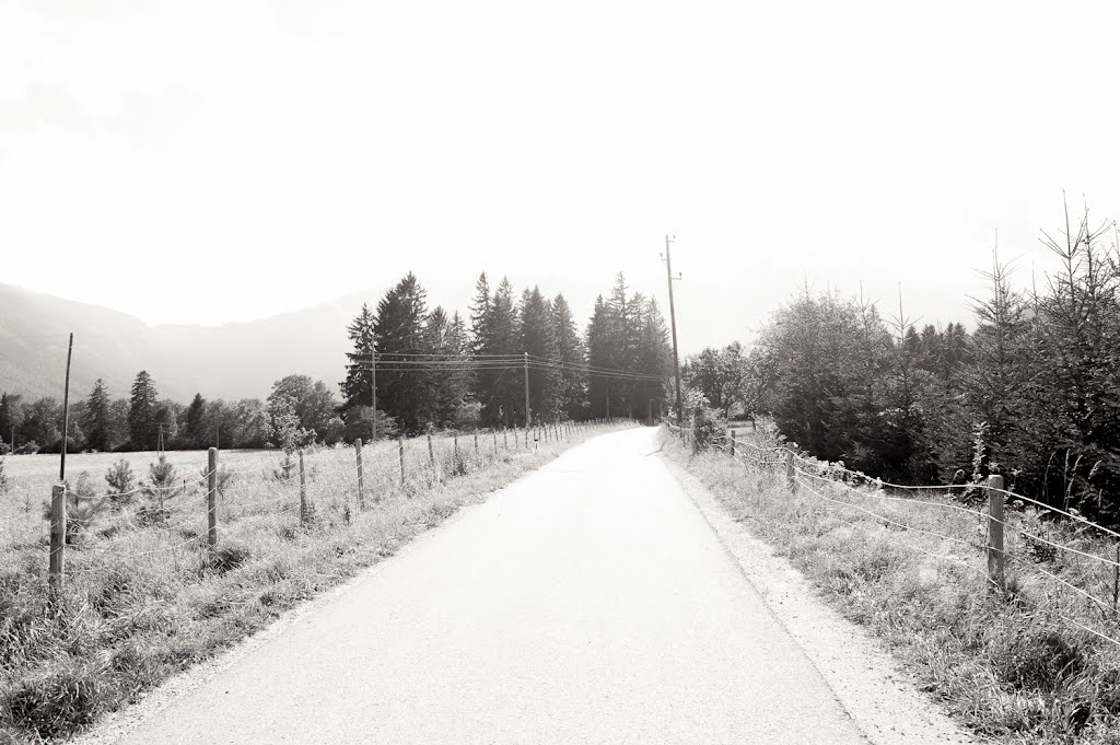 Losenheimer Straße - Puchberg am Schneeberg. by CaioK