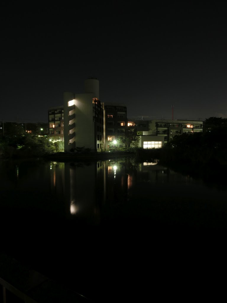 Pond near Osaka univ. by tabuchi422