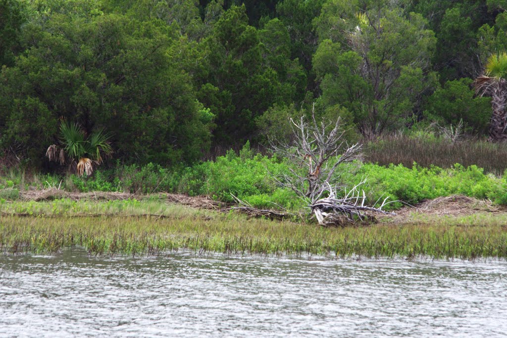 2012, Edisto Island, SC - on the river by Qwilleran