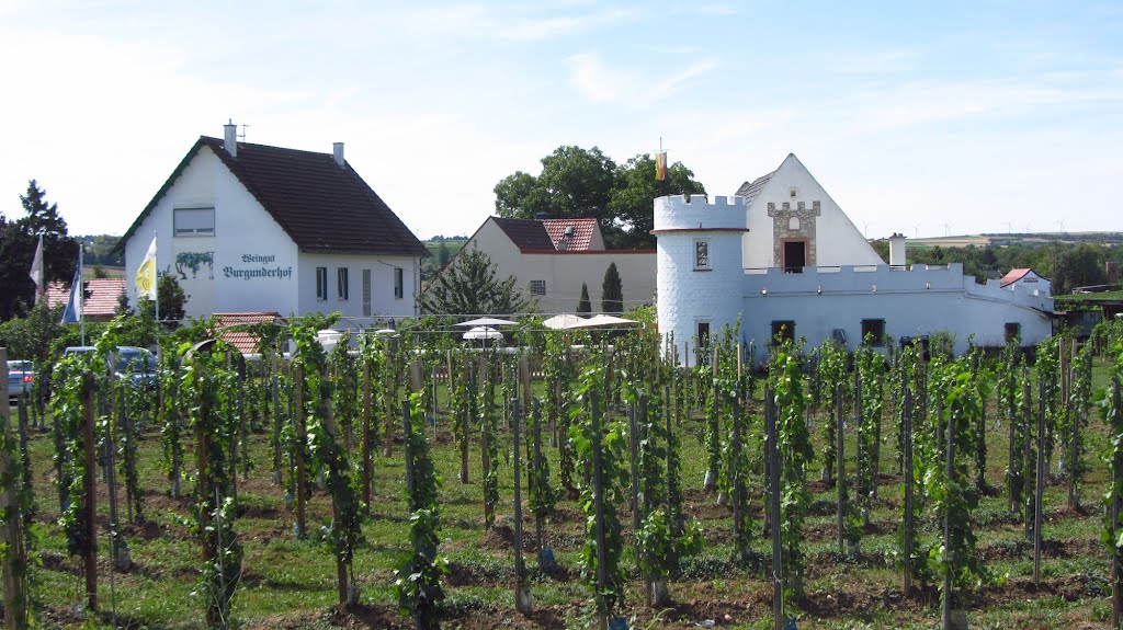 Weingut bei Gundersheim by Andreas-Müller