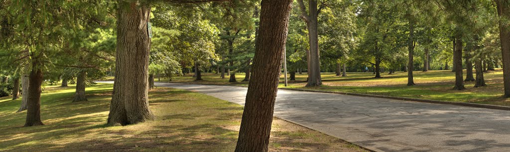 RW Park By The Road by John Handrigan