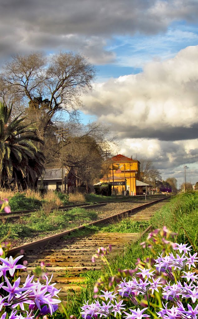 Ya llego la primavera by ANDY ABIR