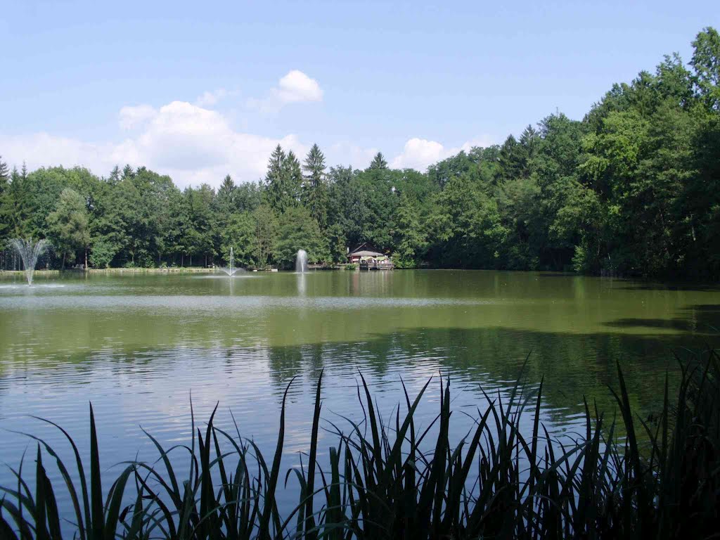 Grafenteich in Voitsberg- Steiermark by hspirk