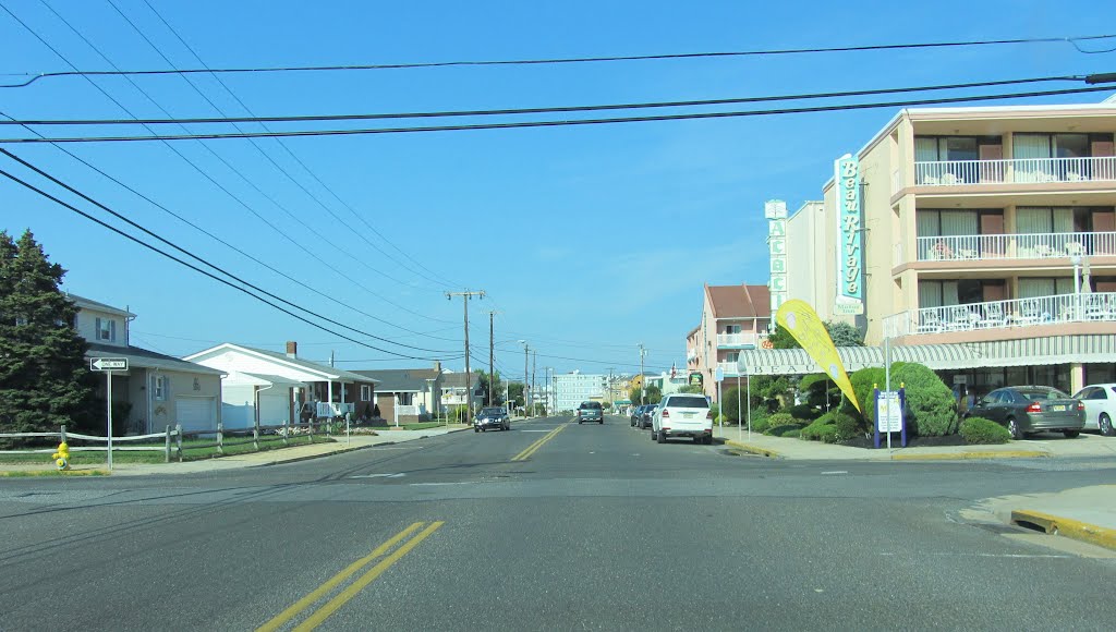 Atlantic Ave by Adam Elmquist