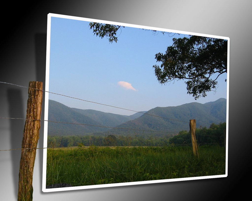 Sparks Lane, Cades Cove by Doug Roach