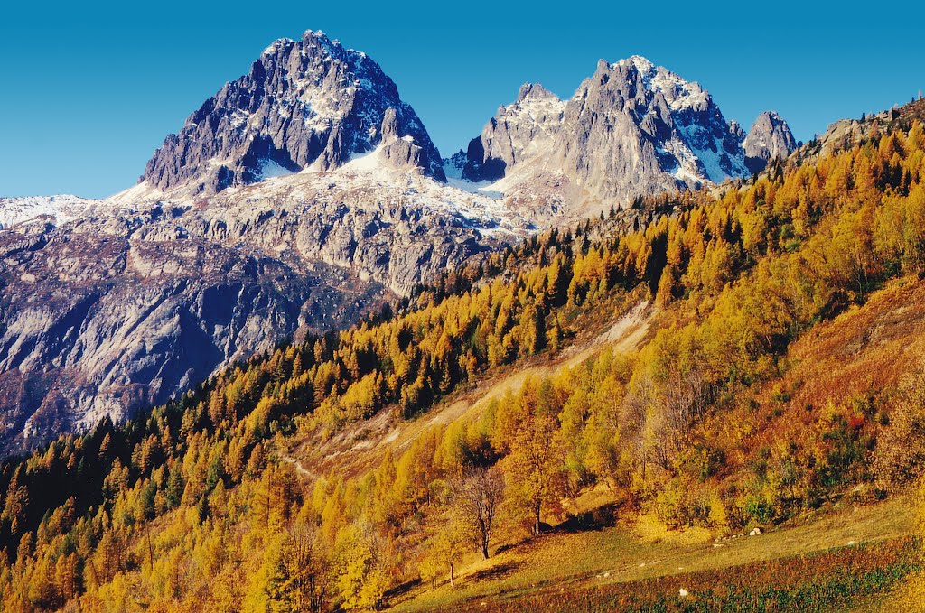 Aiguille de l'Encrenaz, aiguille de la Mesure vues du village du Tour [1982] by jeff34