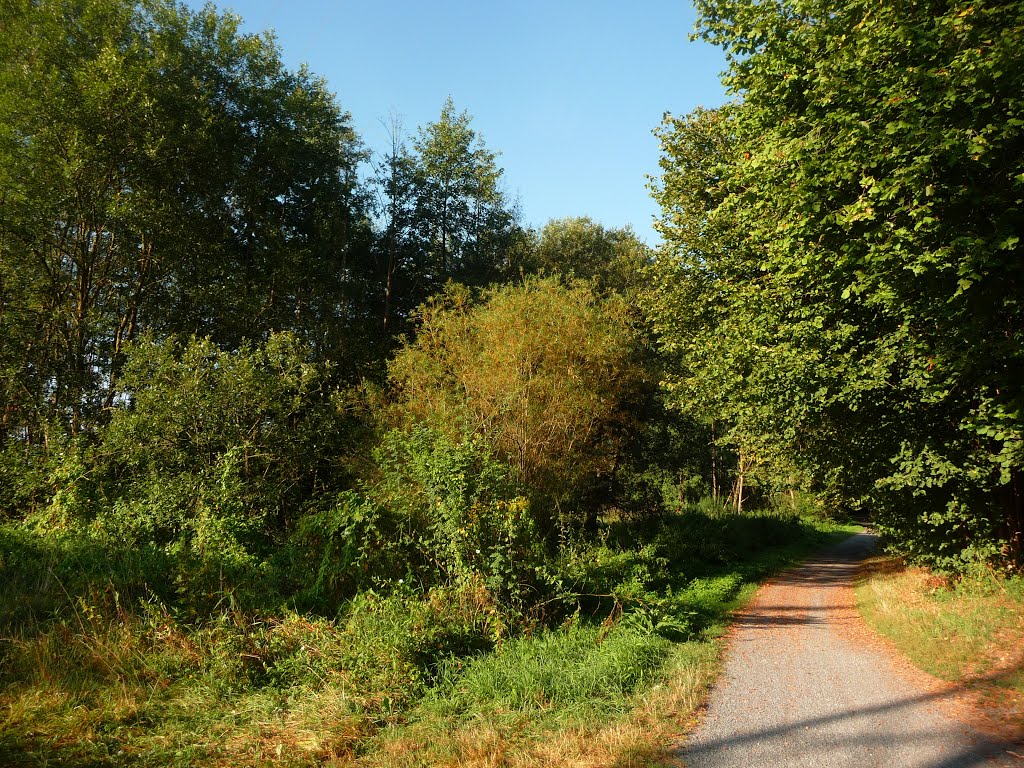 Westlich der Kleingartenanlage Zehn Eichen by martin-r