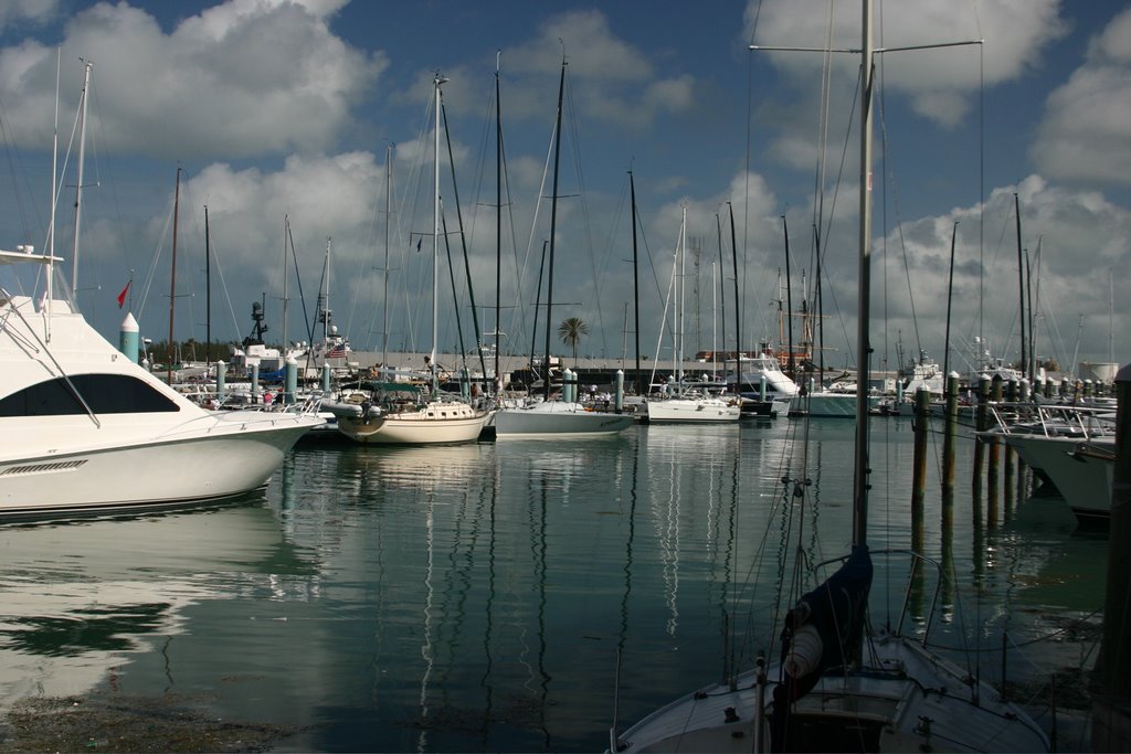 Key West - Marina by wojtek.gl