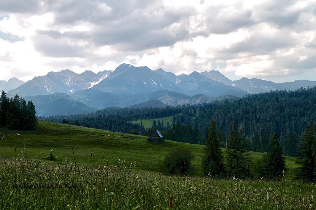 Viewpoint by Denis Kolec