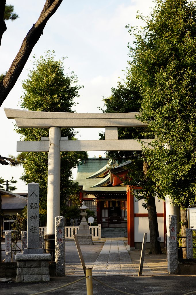 Yatsurugi Shrine / 八剱神社 by Kangoo_