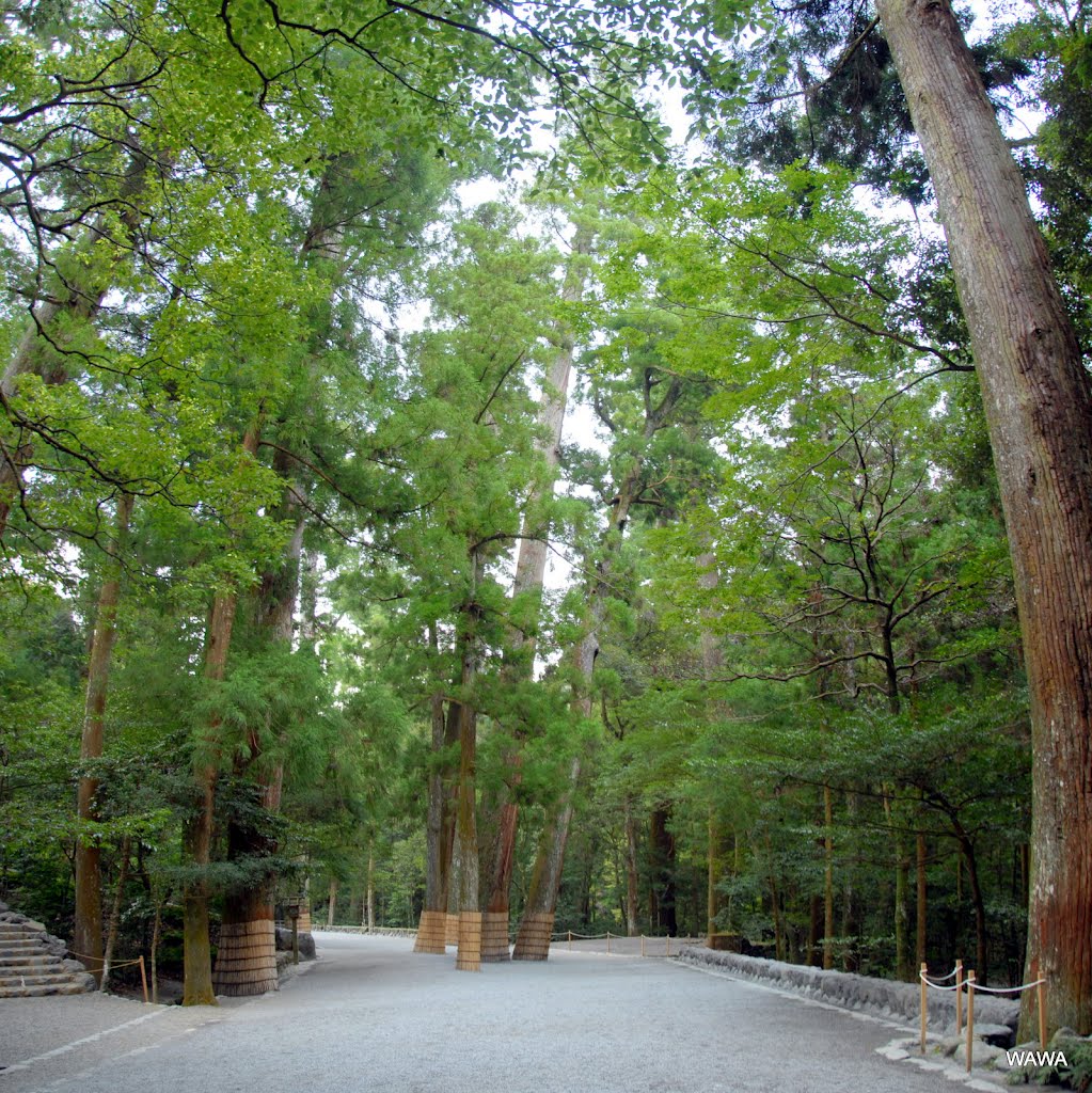 Ise Grand Shrine, Mie / 伊勢神宮　内宮 by mandegan