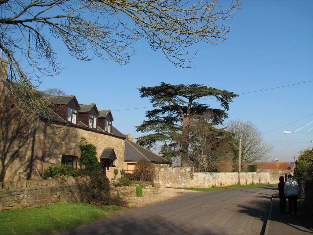 Houses in Tintinhull by Hogan of Grenada