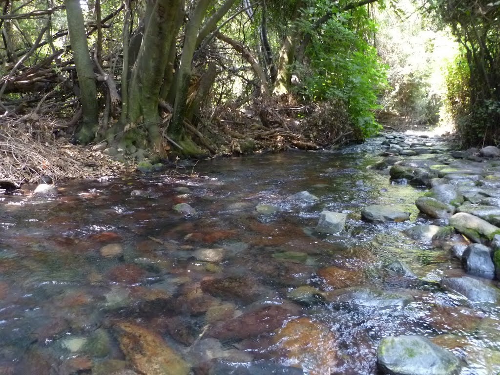 Dan National Park (Israel, Galilee, 2012) נחל דן - שביל האבנים האדומות by smeroz