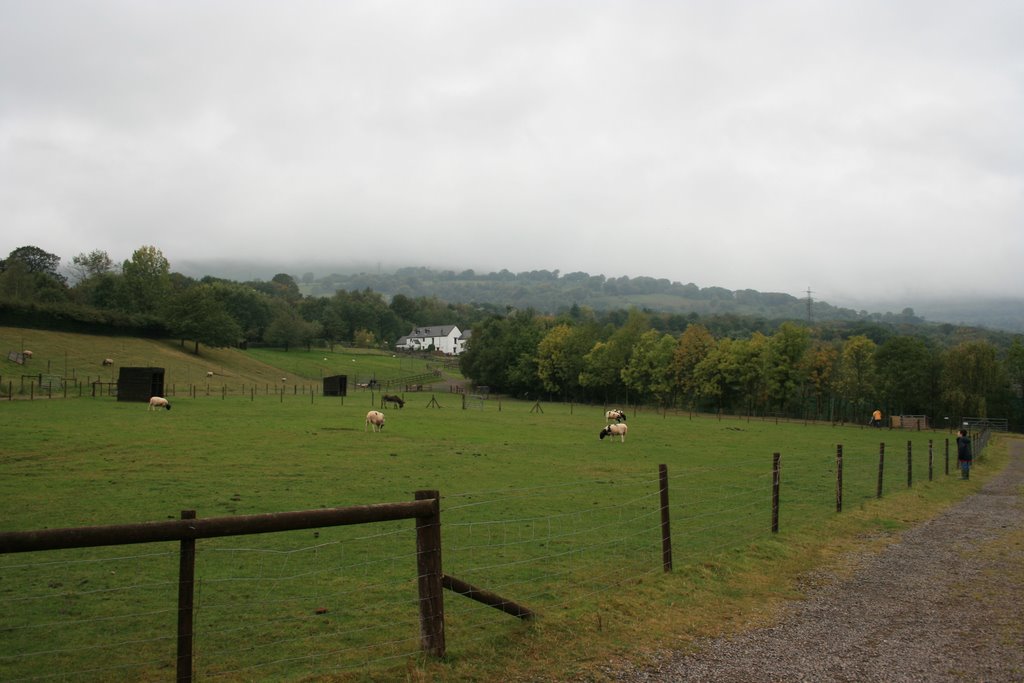 Green meadow farm by fillup