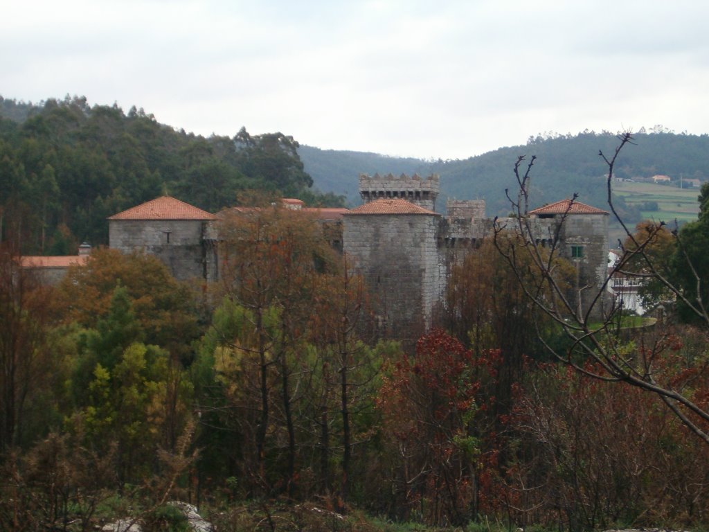 Castillo desde el monte de Trasariz by O Soneirán