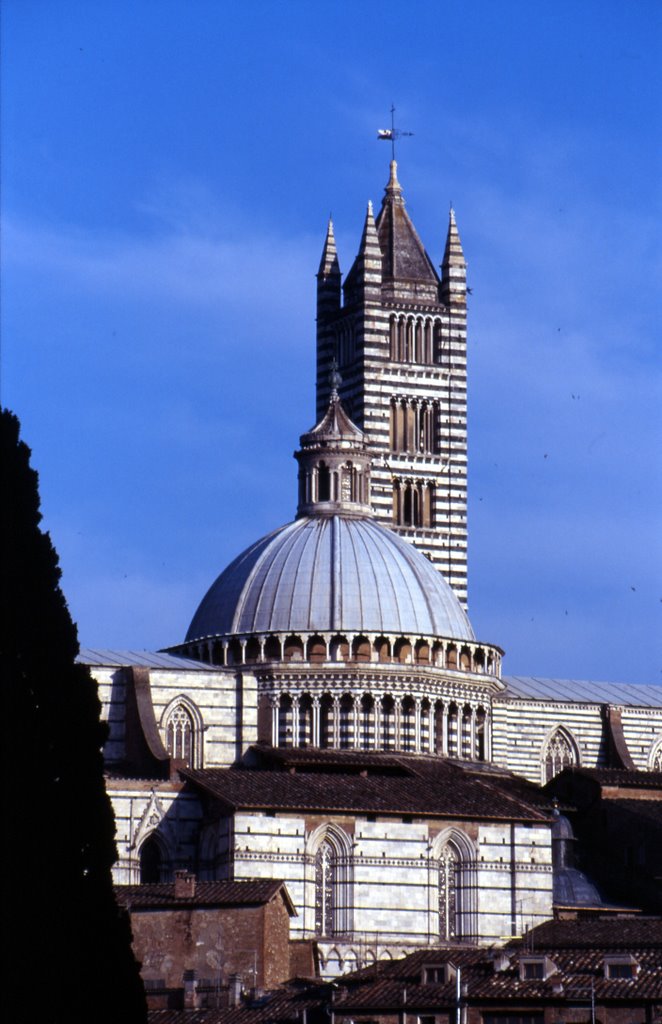 Siena - der Dom by Ralf-Jochen Brand