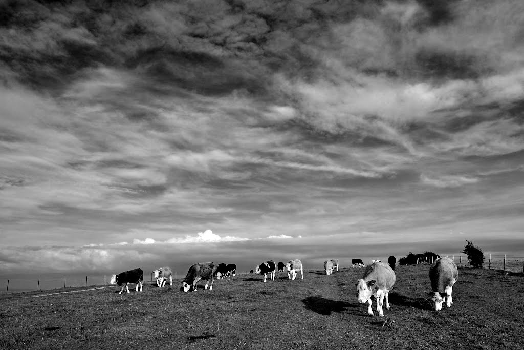 Ditchling Beacon by crjennings.com