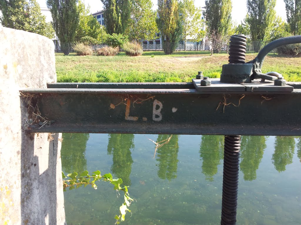 Particolare della presa d'acqua della Roggia Legnana Bianca del Naviglio Martesana a Cernusco. by Pozzi Sergio