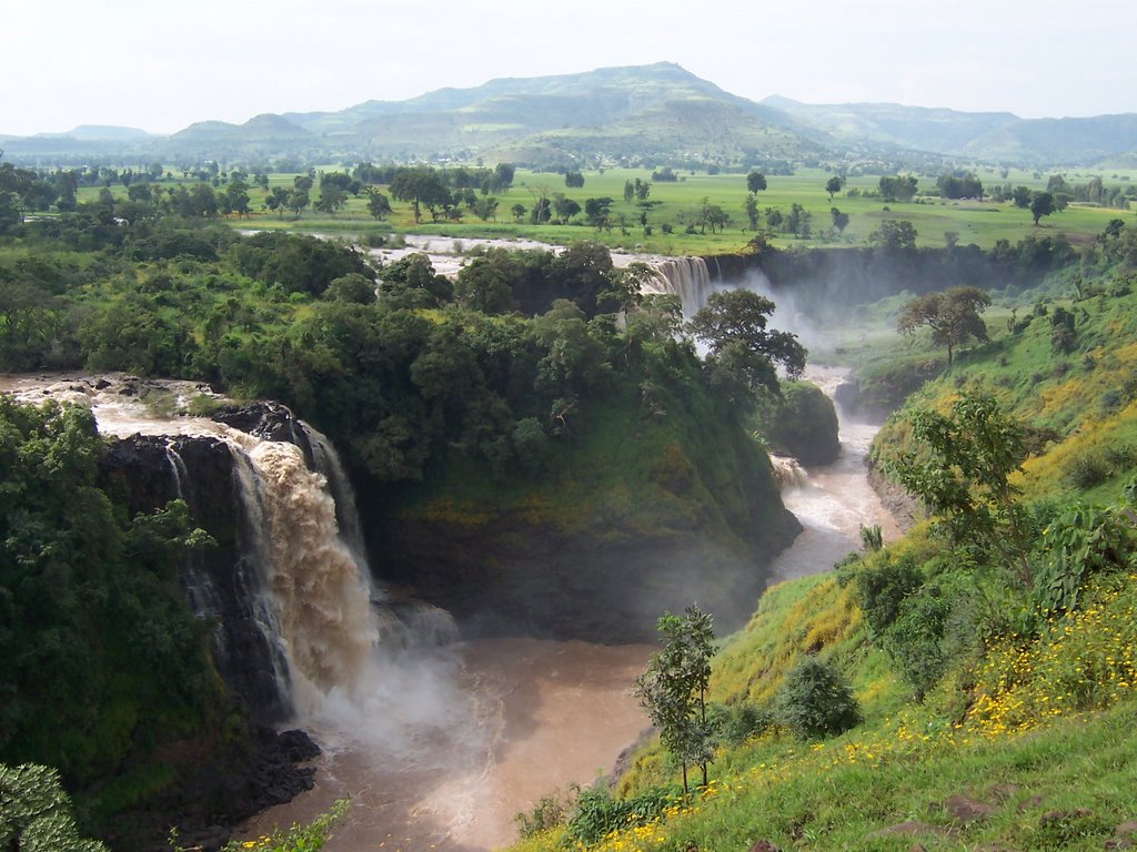 Tis Abay - Blue Nile Falls by Moira Jenkins