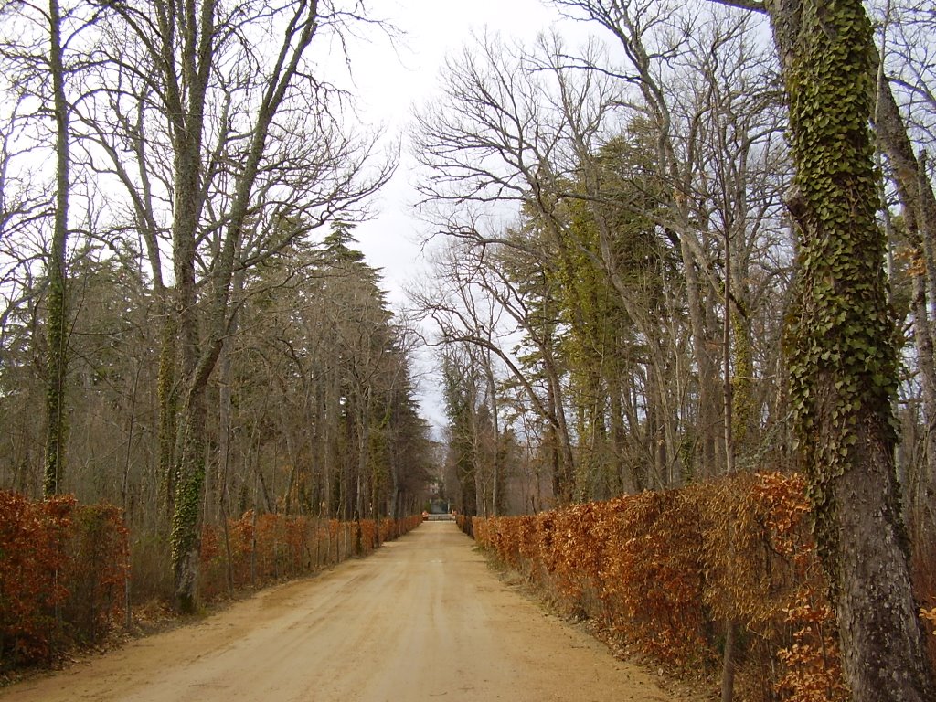 Paseo. Jardines del palacio de La Granja by Dácil