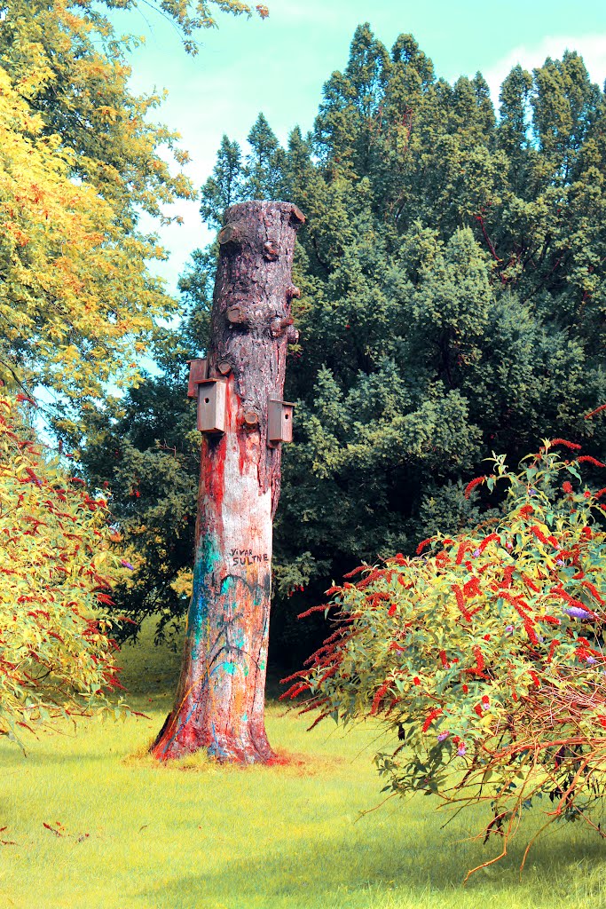 Fuglehuse, Århus Botaniske Have 2012 by jullevis