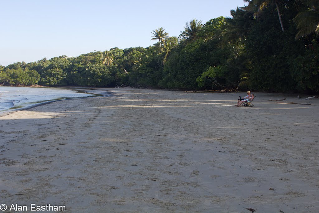 Cape Tribulation by Alifink