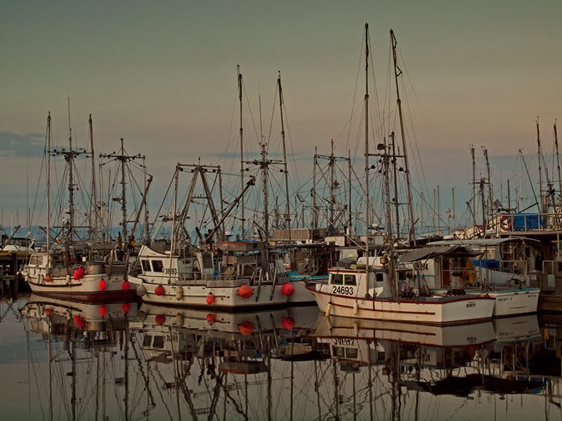 French Creek Marina at Sunset by Randy Hall