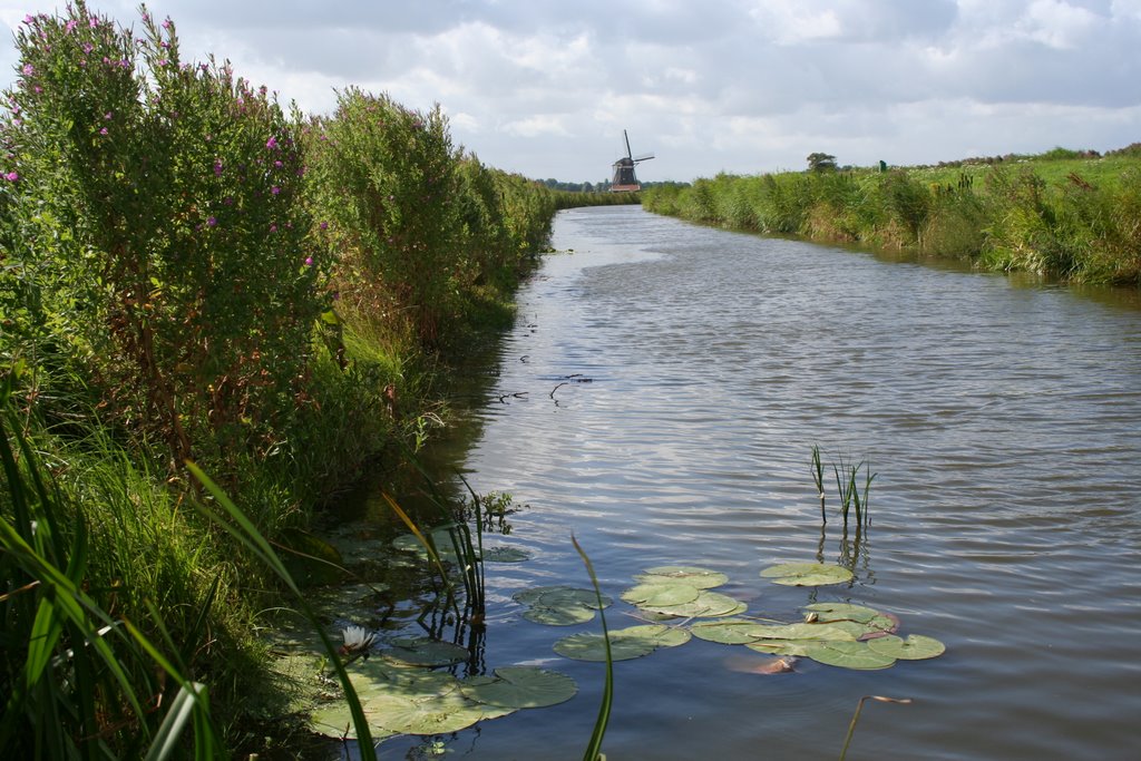 De polder by wcvanderwilk