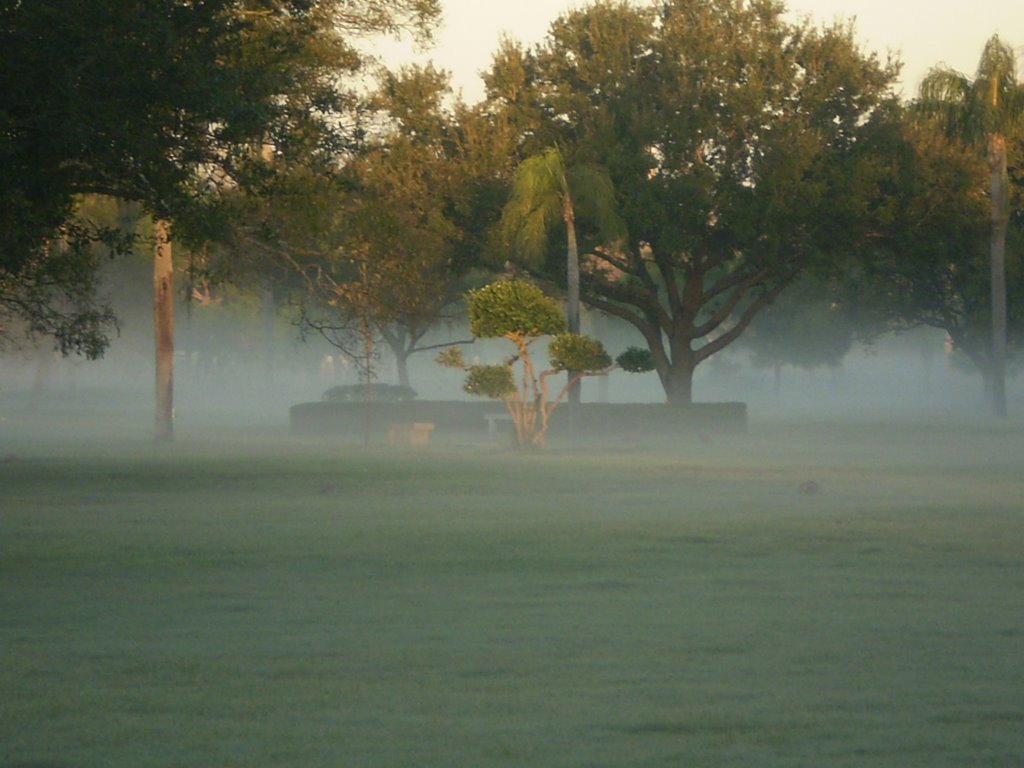 Morning Breathe by .identity.