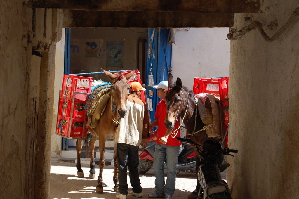 Fes soeks by Frans van Leeuwen