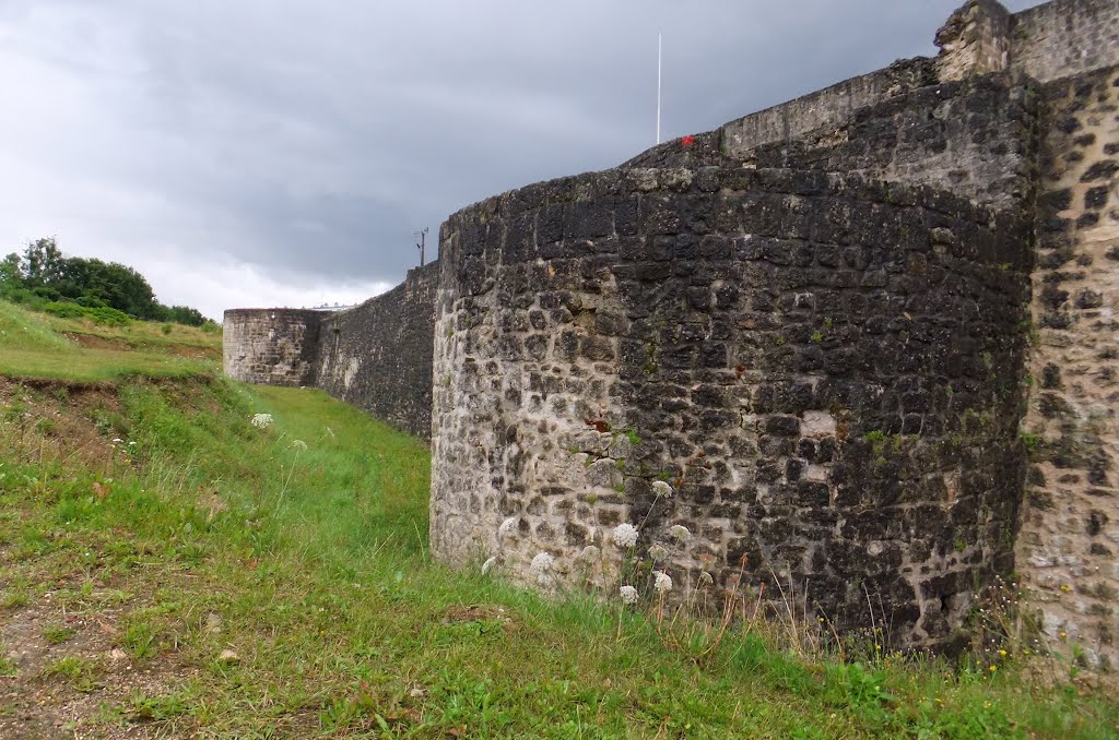 Châtel-sur-Moselle, tours Nord du château by Nidoo