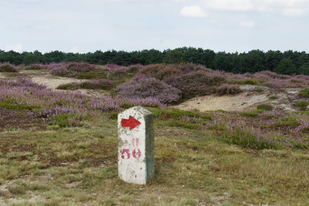 De Hei bij Blaricum, Tafelbergweg by Gerard Roodhart