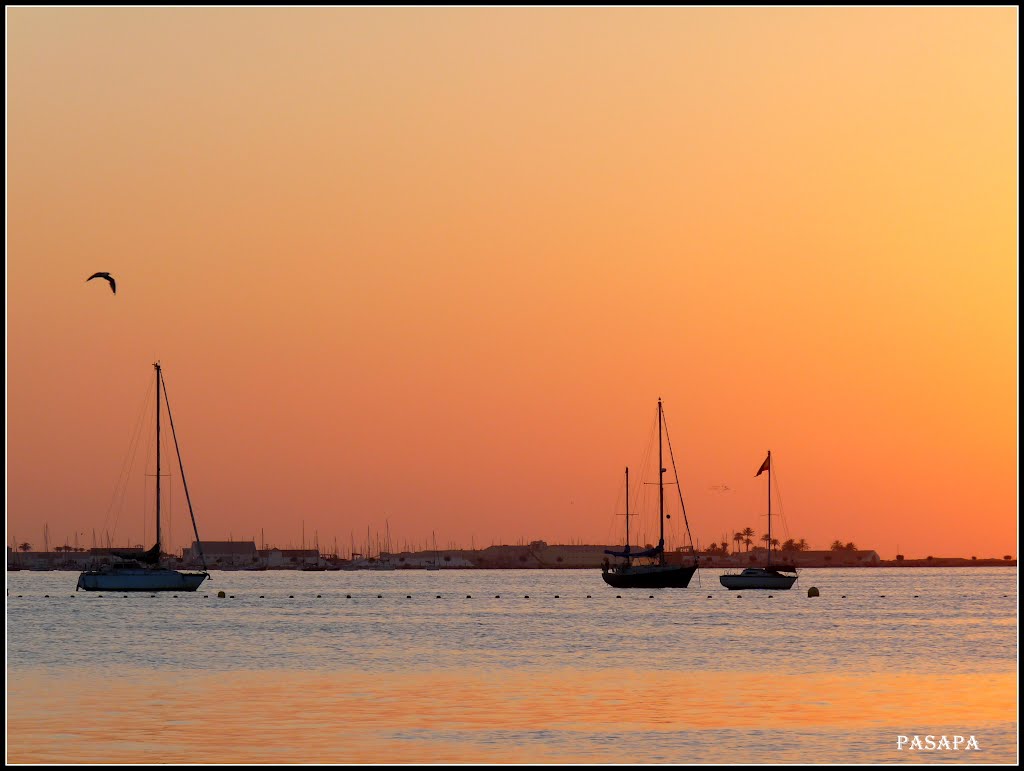 < Gaviota a la espera > ( amaneciendo ) <Seagull waiting > ( Sunrise) Enlarge. by Pasapa.