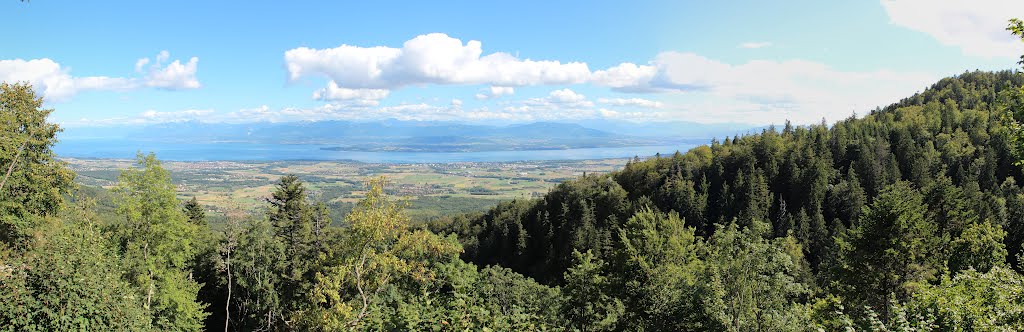 View on the Lake of Geneva by 6004592