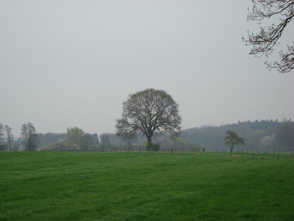 Niederrhein April 2012 by DortmundWestfalica