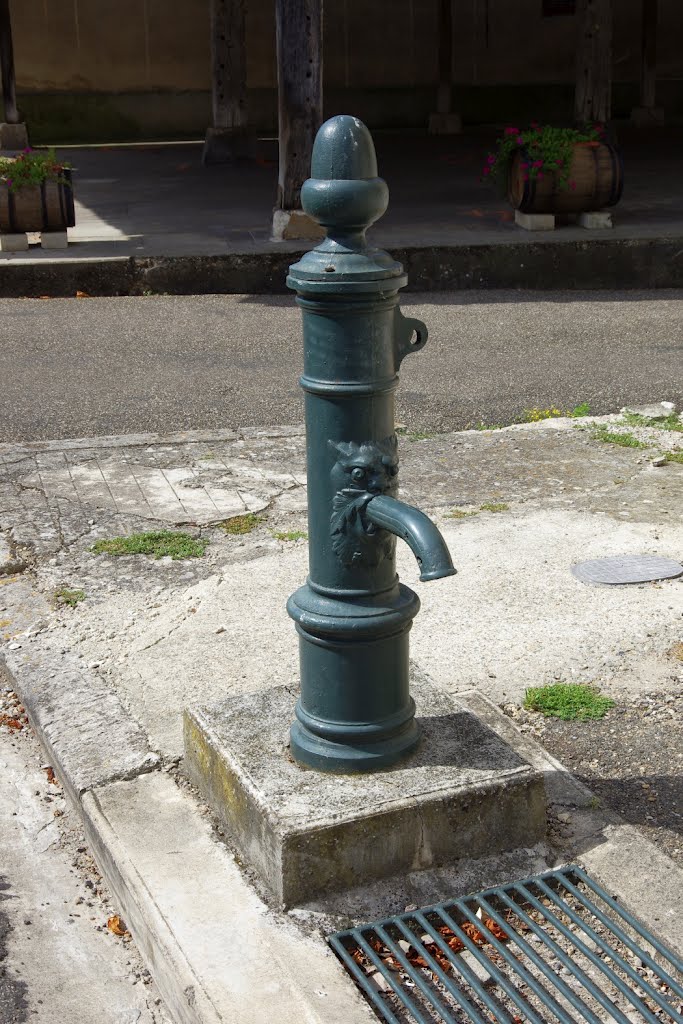 Fontaine de Allemans du Dropt by Jean-Paul Dominique BERTIN