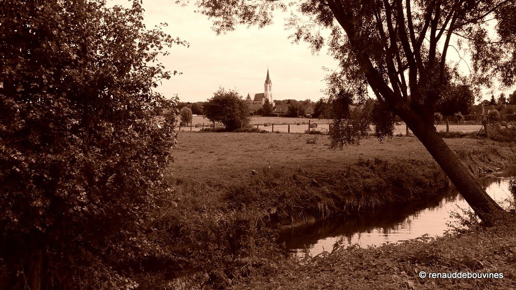 Bouvines côté Marque by Renaud Bouvines