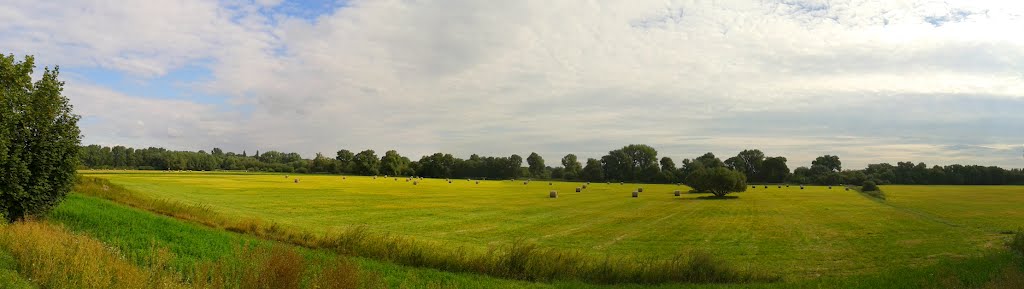 Panorama, Bősárkány, Hungary by Graffy