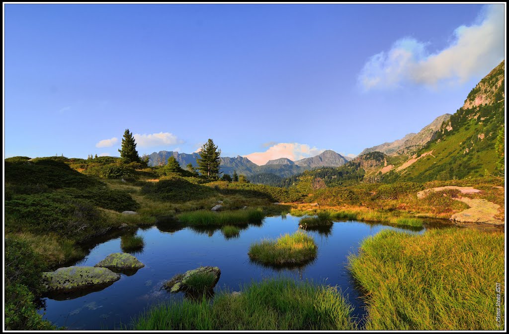 Pozza effimera nei pressi del lago delle Buse. by ► Marco Vanzo