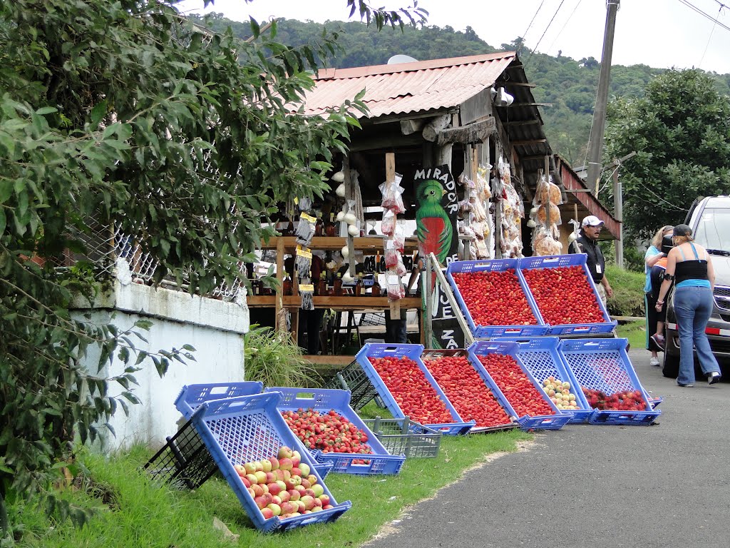 Venta de frutas en Fraijanes by Gino Vivi