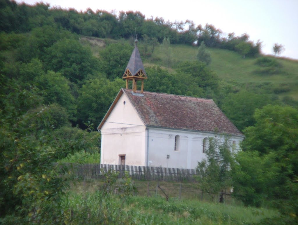 Biserica Reformata - Ivanesti by Alexandru Losonczy